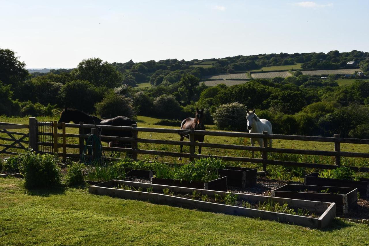 Moorland Breeze Villa Bodmin Eksteriør billede